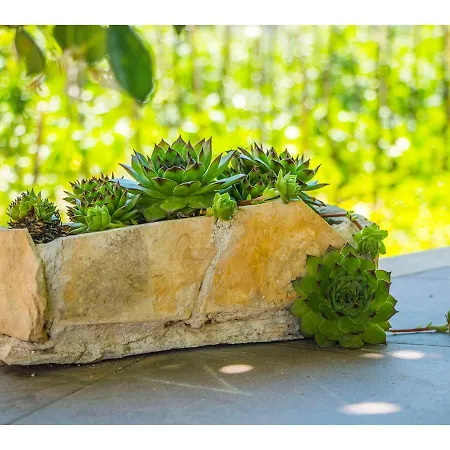 Cozy And Apartman Split