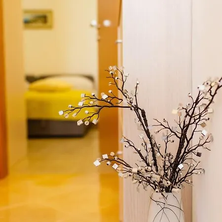 Apartman Cozy And Split