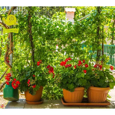 Cozy&nice Apartament