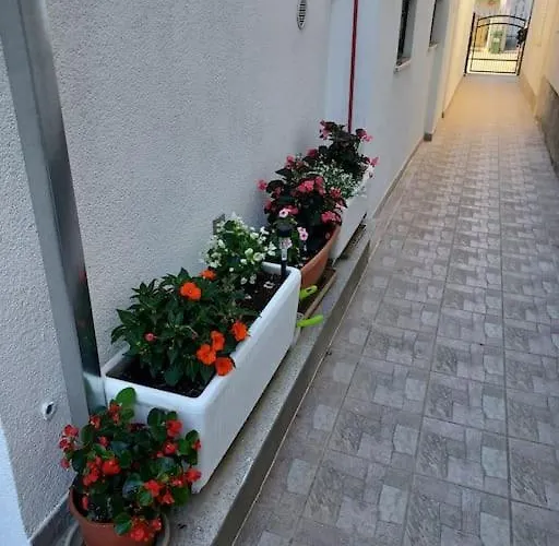 Cozy And Apartment