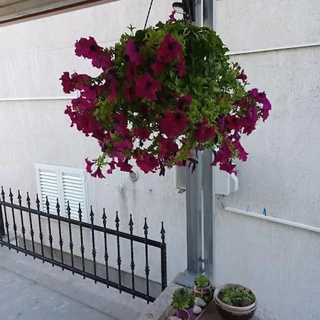 Cozy And Apartment Split