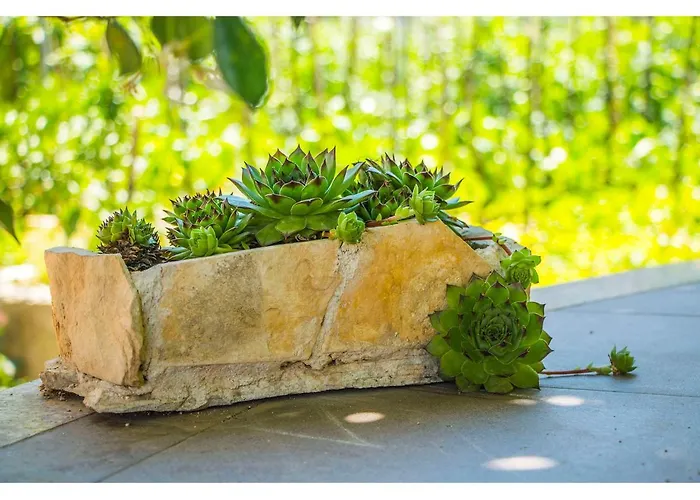 Cozy And 公寓 斯普利特