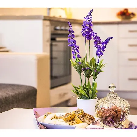 Cozy And Apartamento